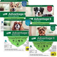 Advantage® II Topical Flea Treatment For Dogs 11834b