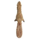 Spot® Skinneeez™ Plus Dog Toy Squirrel I000715