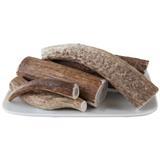 Happy Dog of Cape Cod Elk Antlers I000987b