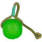 Starmark™ Swing n' Fling Chew Ball Dog Toy I002240