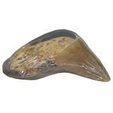 RedBarn® Filled Hoof Cheese &amp; Bacon, 2.75 oz. Z78518450644